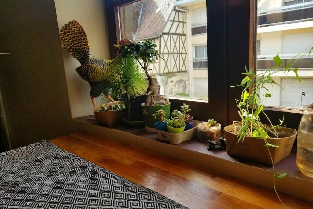 Cosy Apartment By The Magical Marais De Бурж Екстер'єр фото